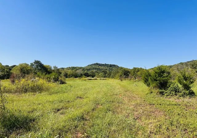 Land for sale at 0 Bradyville Pike, Readyville, TN 37149 | MLS# 3545562