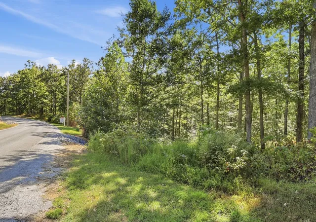 Land for sale at 845 Ridgewood Dr, McEwen, TN 37101 | MLS# 3545405