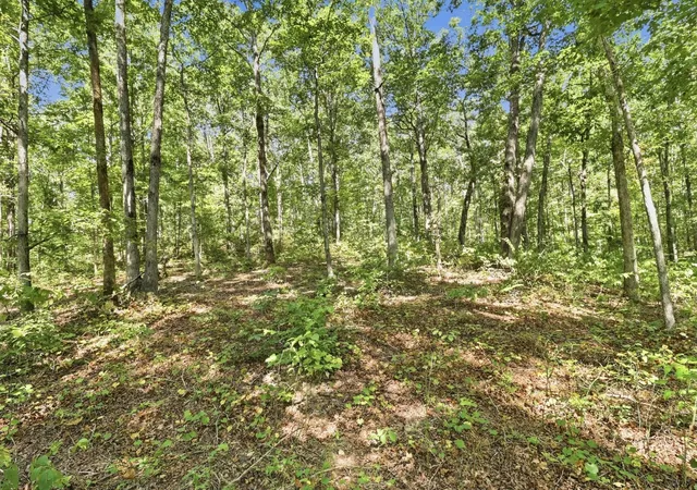 Land for sale at 845 Ridgewood Dr, McEwen, TN 37101 | MLS# 3545405
