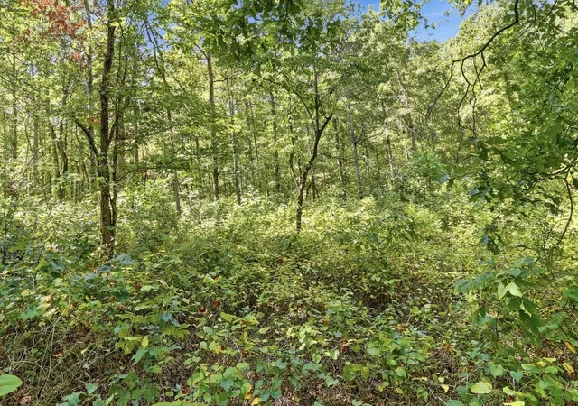Photo 2 of Land for sale at 845 Ridgewood Dr, Mc Ewen, TN 37101 | MLS# 3545405 | Listing updated on 2026-09-15