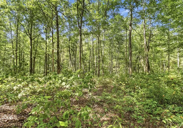 Photo 3 of Land for sale at 845 Ridgewood Dr, Mc Ewen, TN 37101 | MLS# 3545405 | Listing updated on 2026-09-15