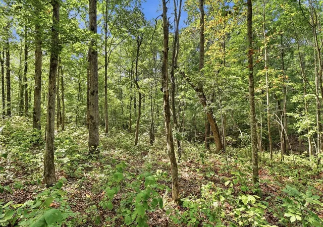 Photo 3 of Land for sale at 845 Ridgewood Dr, Mc Ewen, TN 37101 | MLS# 3545405 | Listing updated on 2026-09-15