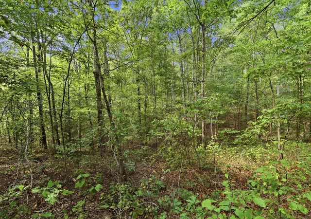 Photo 4 of Land for sale at 845 Ridgewood Dr, Mc Ewen, TN 37101 | MLS# 3545405 | Listing updated on 2026-09-15