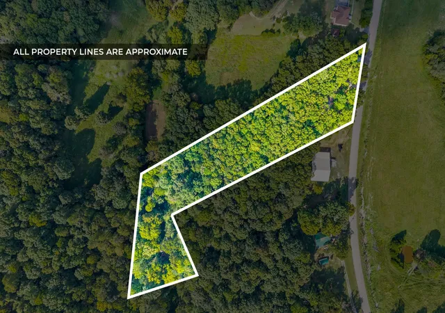 Photo 4 of Land for sale at 4732 Lylewood Rd, Indian Mound, TN 37079 | MLS# 3592174 | Listing updated on 2026-09-15