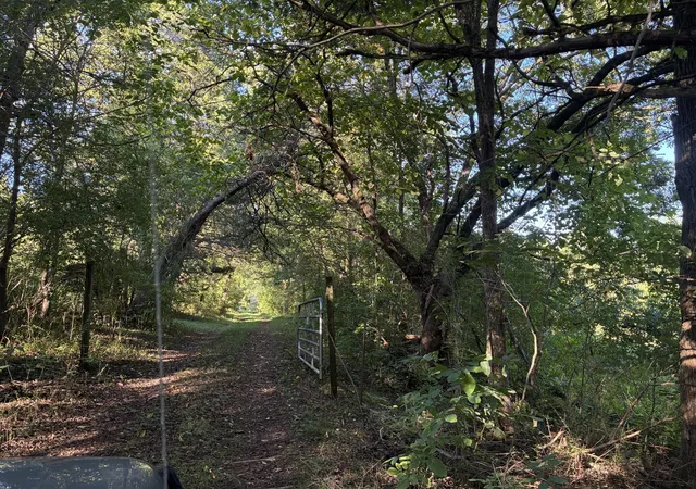 Photo 4 of Land for sale at 0 County Rd 675, Riceville, TN 37370 | MLS# 3545556 | Listing updated on 2026-10-01