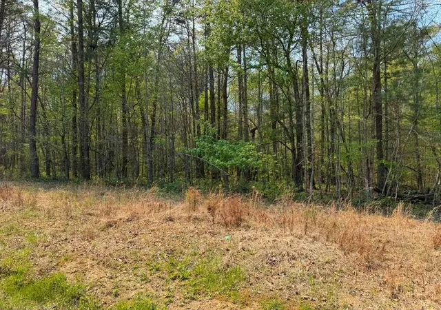 Photo 1 of Land for sale at 0 Ironsburg Rd, Tellico Plains, TN 37385 | MLS# 3545748 | Listing updated on 2026-09-11