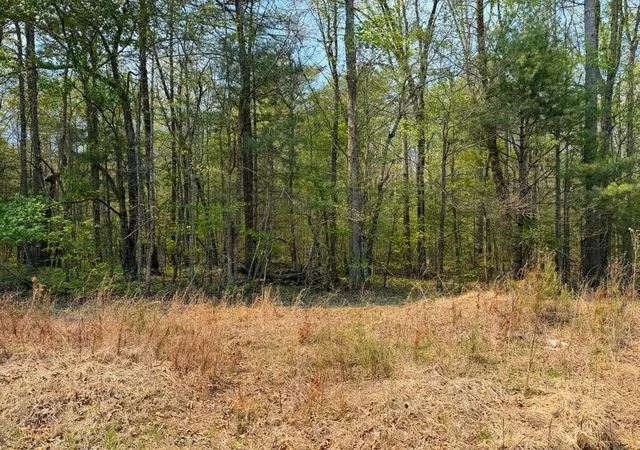 Photo 2 of Land for sale at 0 Ironsburg Rd, Tellico Plains, TN 37385 | MLS# 3545748 | Listing updated on 2026-09-11