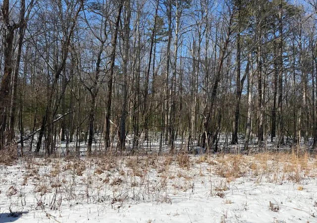 Photo 4 of Land for sale at 0 Ironsburg Rd, Tellico Plains, TN 37385 | MLS# 3545748 | Listing updated on 2026-09-11