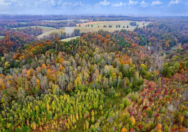 Land for sale at 0 Ducktown Rd, Iron City, TN 38463 | MLS# 3545960