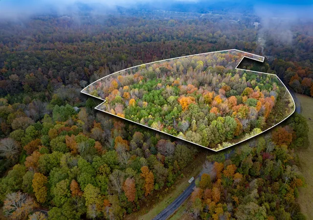 Photo 3 of Land for sale at 0 Ducktown Rd, Iron City, TN 38463 | MLS# 3545960 | Listing updated on 2026-09-11