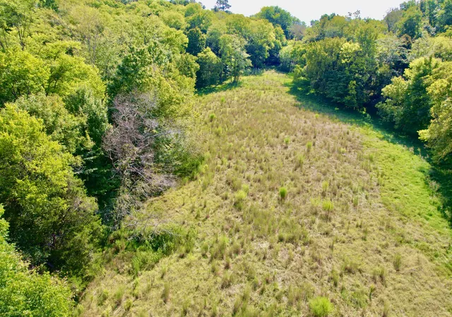 Photo 3 of Land for sale at 0 Crooked Hl Rd, Pulaski, TN 38478 | MLS# 3546162 | Listing updated on 2026-09-10