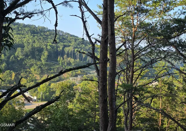 Photo 1 of Single family home for sale at 3004 Crestview Ct, Sevierville, TN 37862 | MLS# 3545976 | Listing updated on 2026-09-11