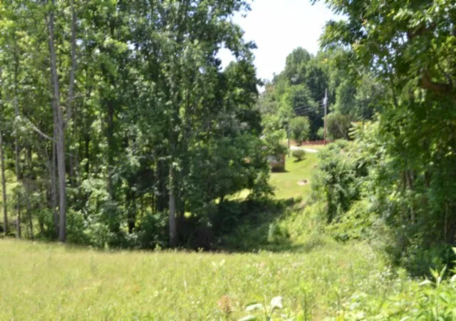 Photo 1 of Land for sale at 2376 Pea Ridge Fire Town Rd, Celina, TN 38551 | MLS# 3546046 | Listing updated on 2026-09-10