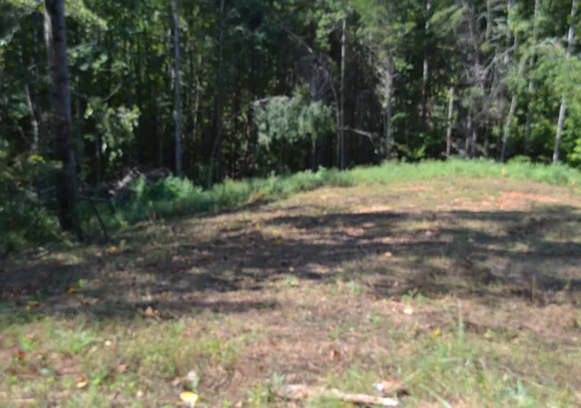 Photo 2 of Land for sale at 2376 Pea Ridge Fire Town Rd, Celina, TN 38551 | MLS# 3546046 | Listing updated on 2026-09-10