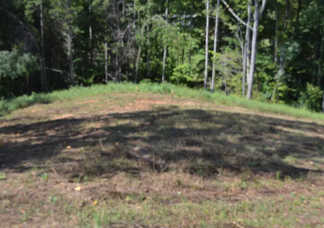 Photo 3 of Land for sale at 2376 Pea Ridge Fire Town Rd, Celina, TN 38551 | MLS# 3546046 | Listing updated on 2026-09-10