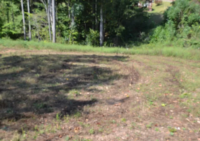 Photo 3 of Land for sale at 2376 Pea Ridge Fire Town Rd, Celina, TN 38551 | MLS# 3546046 | Listing updated on 2026-09-10