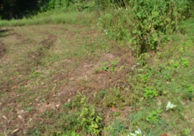 Photo 4 of Land for sale at 2376 Pea Ridge Fire Town Rd, Celina, TN 38551 | MLS# 3546046 | Listing updated on 2026-09-10