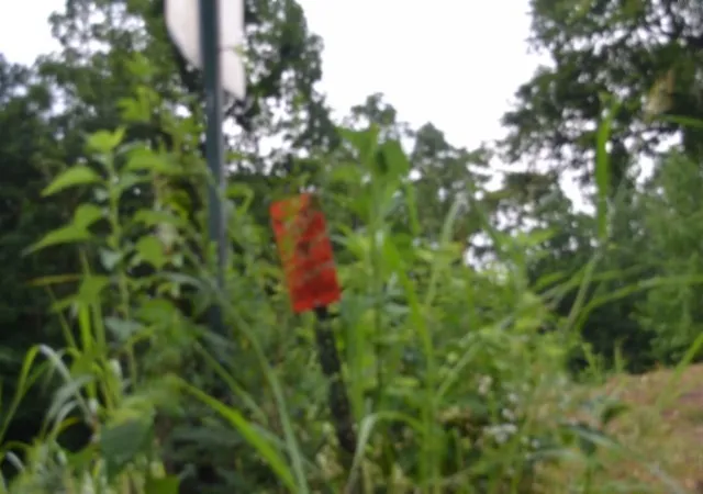 Photo 3 of Land for sale at 2390 Pea Ridge Fire Town Rd, Celina, TN 38551 | MLS# 3546053 | Listing updated on 2026-10-07