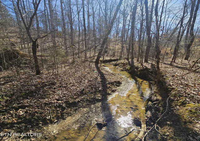 Photo 1 of Land for sale at 0 Lick Crk Rd, Tellico Plains, TN 37385 | MLS# 3546166 | Listing updated on 2026-09-10