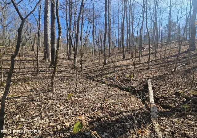 Photo 2 of Land for sale at 0 Lick Crk Rd, Tellico Plains, TN 37385 | MLS# 3546166 | Listing updated on 2026-09-10