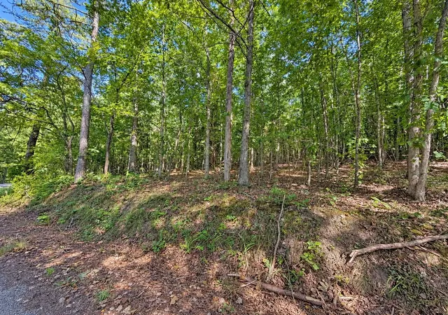 Photo 3 of Sale Pending at 105 County Rd 83, Athens, TN 37303 | MLS# 3546272 | Listing updated on 2026-09-22