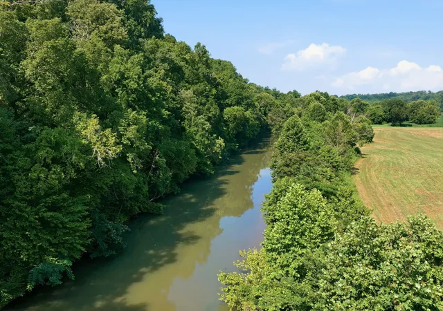 Single family home for sale at 8167 Primm Springs Rd, Primm Springs, TN 38476 | MLS# 3546286