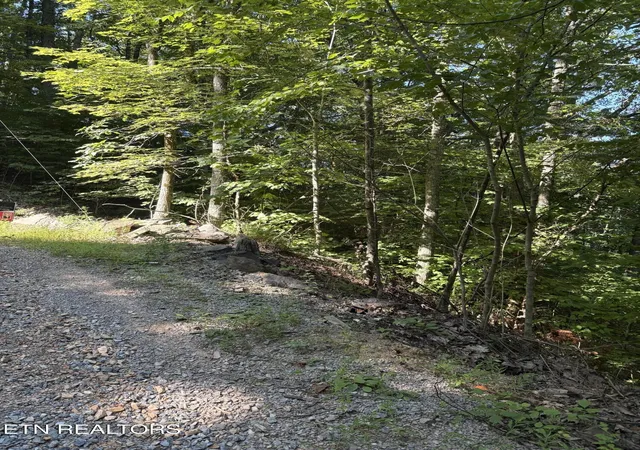 Photo 3 of Land for sale at 0 Castle Rise Way, Sevierville, TN 37862 | MLS# 3546498 | Listing updated on 2026-09-15