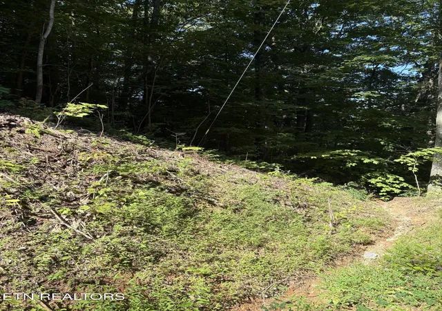 Photo 3 of Land for sale at 0 Castle Rise Way, Sevierville, TN 37862 | MLS# 3546498 | Listing updated on 2026-09-15