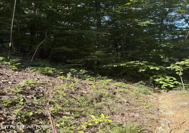 Photo 4 of Land for sale at 0 Castle Rise Way, Sevierville, TN 37862 | MLS# 3546498 | Listing updated on 2026-09-15