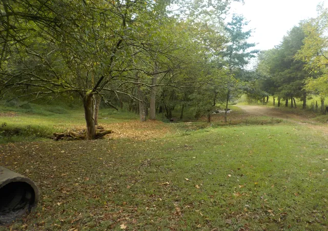 Land for sale at 0 Rogues Frk Rd, Bethpage, TN 37022 | MLS# 3547938