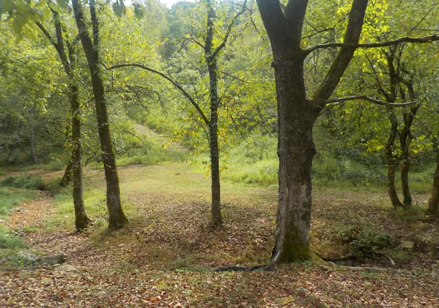 Photo 2 of Land for sale at 0 Rogues Frk Rd, Bethpage, TN 37022 | MLS# 3547938 | Listing updated on 2026-09-14