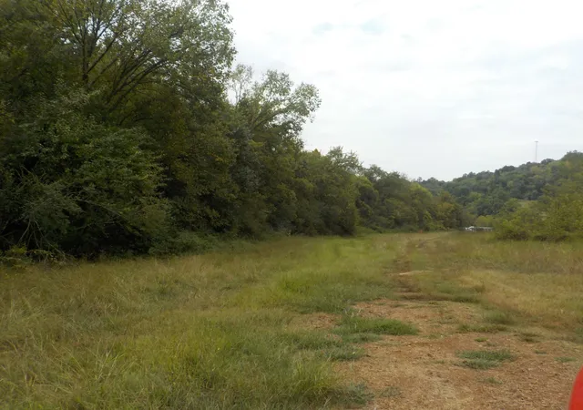 Photo 3 of Land for sale at 0 Rogues Frk Rd, Bethpage, TN 37022 | MLS# 3547938 | Listing updated on 2026-09-14