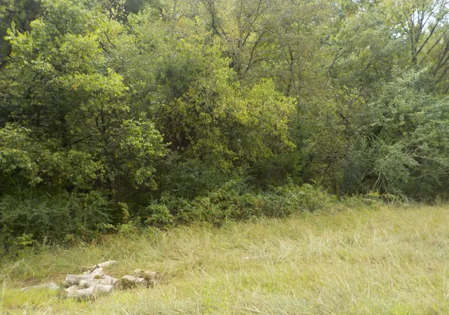 Photo 4 of Land for sale at 0 Rogues Frk Rd, Bethpage, TN 37022 | MLS# 3547938 | Listing updated on 2026-09-14