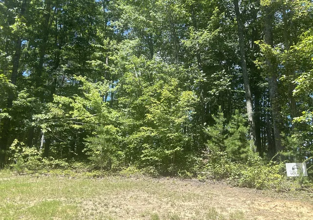 Photo 3 of Land for sale at 355 Partridge Trl, Grandview, TN 37337 | MLS# 3546705 | Listing updated on 2026-09-15
