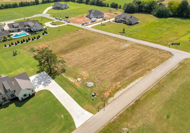 Photo 4 of Land for sale at 541 Graham Cir, Florence, AL 35634 | MLS# 3546736 | Listing updated on 2026-09-12