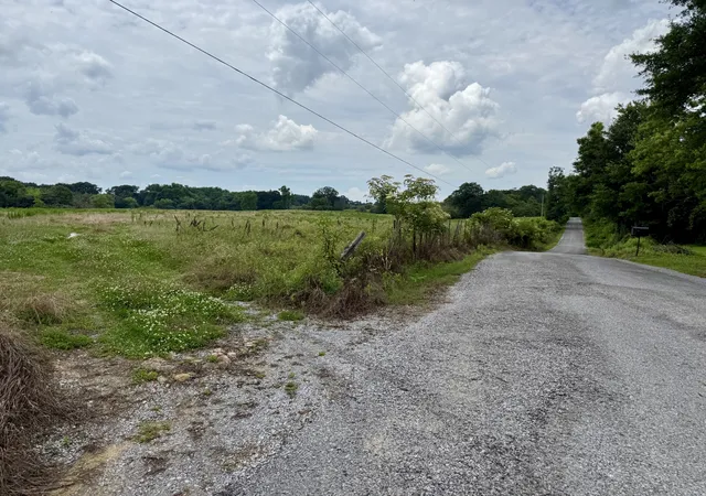 Photo 3 of Land for sale at 0 County Rd 643, Hanceville, AL 35077 | MLS# 3546769 | Listing updated on 2026-09-12