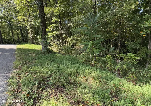 Photo 2 of Land for sale at 2235 Moore Knob Rd, Allardt, TN 38504 | MLS# 3546825 | Listing updated on 2026-09-12