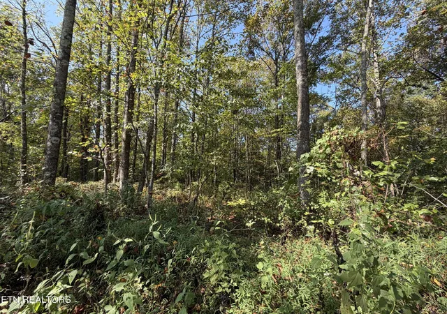 Photo 4 of House for sale at 2235 Moore Knob Rd, Allardt, TN 38504 | MLS# 3546825 | Listing updated on 2026-09-12