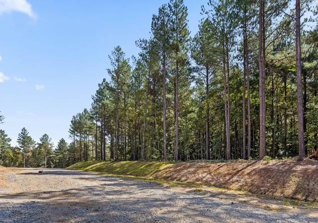 Photo 2 of Land for sale at 2002 Stardust Ct, Guild, TN 37340 | MLS# 3546911 | Listing updated on 2026-09-12