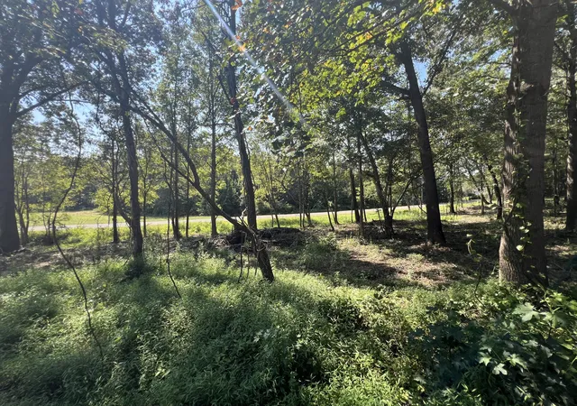 Photo 2 of Land for sale at 0 Forrest Dr, Paris, TN 38242 | MLS# 3547182 | Listing updated on 2026-09-12