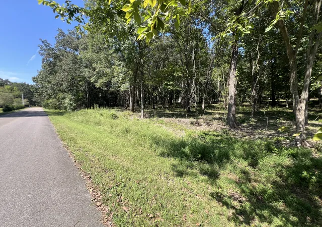 Photo 3 of Land for sale at 0 Forrest Dr, Paris, TN 38242 | MLS# 3547182 | Listing updated on 2026-09-12