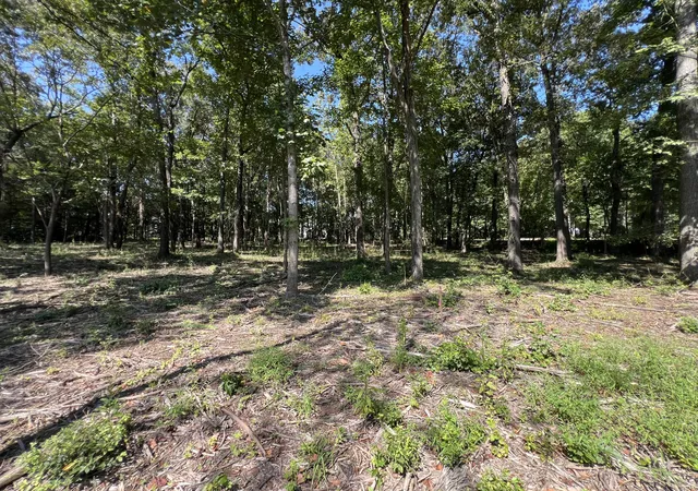 Photo 3 of Land for sale at 0 Forrest Dr, Paris, TN 38242 | MLS# 3547182 | Listing updated on 2026-09-12