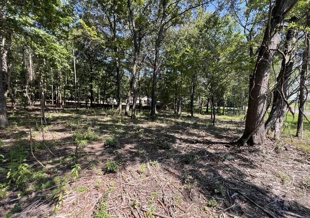 Photo 4 of Land for sale at 0 Forrest Dr, Paris, TN 38242 | MLS# 3547182 | Listing updated on 2026-09-12