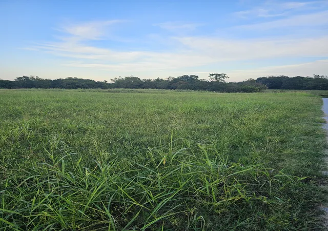 Photo 3 of Land for sale at 0 Akersville Rd, Lafayette, TN 37083 | MLS# 3547147 | Listing updated on 2026-09-12