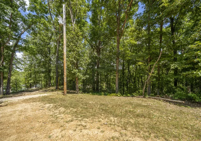 Photo 3 of Land for sale at 307 Oak Dr, Saulsbury, TN 38067 | MLS# 3547820 | Listing updated on 2026-09-14