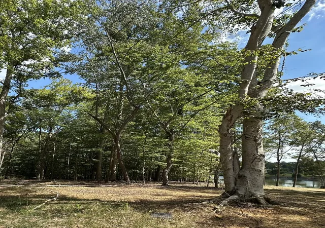 Land for sale at 33 Heron Point, Tullahoma, TN 37388 | MLS# 3592511