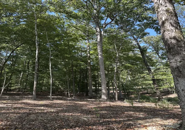 Photo 2 of Land for sale at 33 Heron Point, Tullahoma, TN 37388 | MLS# 3592511 | Listing updated on 2026-09-15