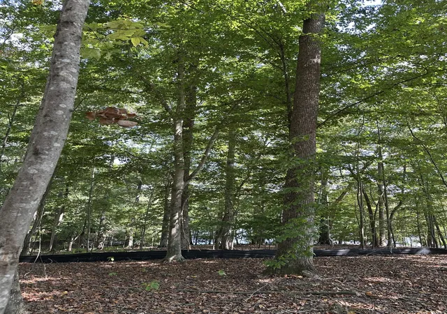 Photo 3 of Land for sale at 33 Heron Point, Tullahoma, TN 37388 | MLS# 3592511 | Listing updated on 2026-09-15