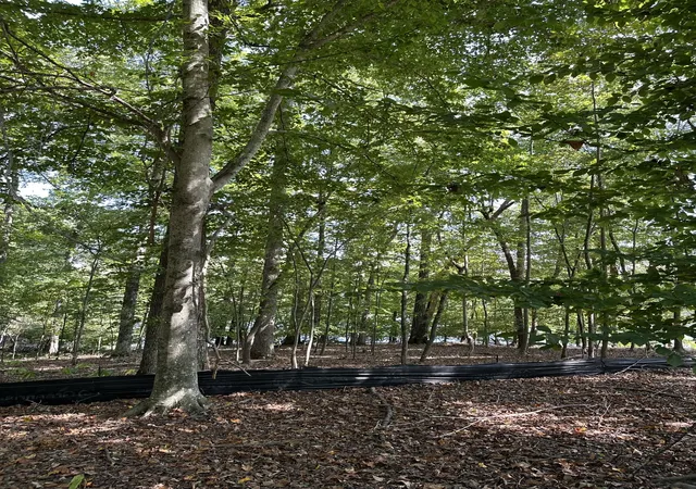 Photo 3 of Land for sale at 33 Heron Point, Tullahoma, TN 37388 | MLS# 3592511 | Listing updated on 2026-09-15