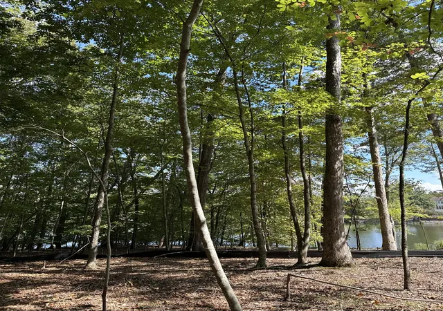 Photo 4 of Land for sale at 33 Heron Point, Tullahoma, TN 37388 | MLS# 3592511 | Listing updated on 2026-09-15